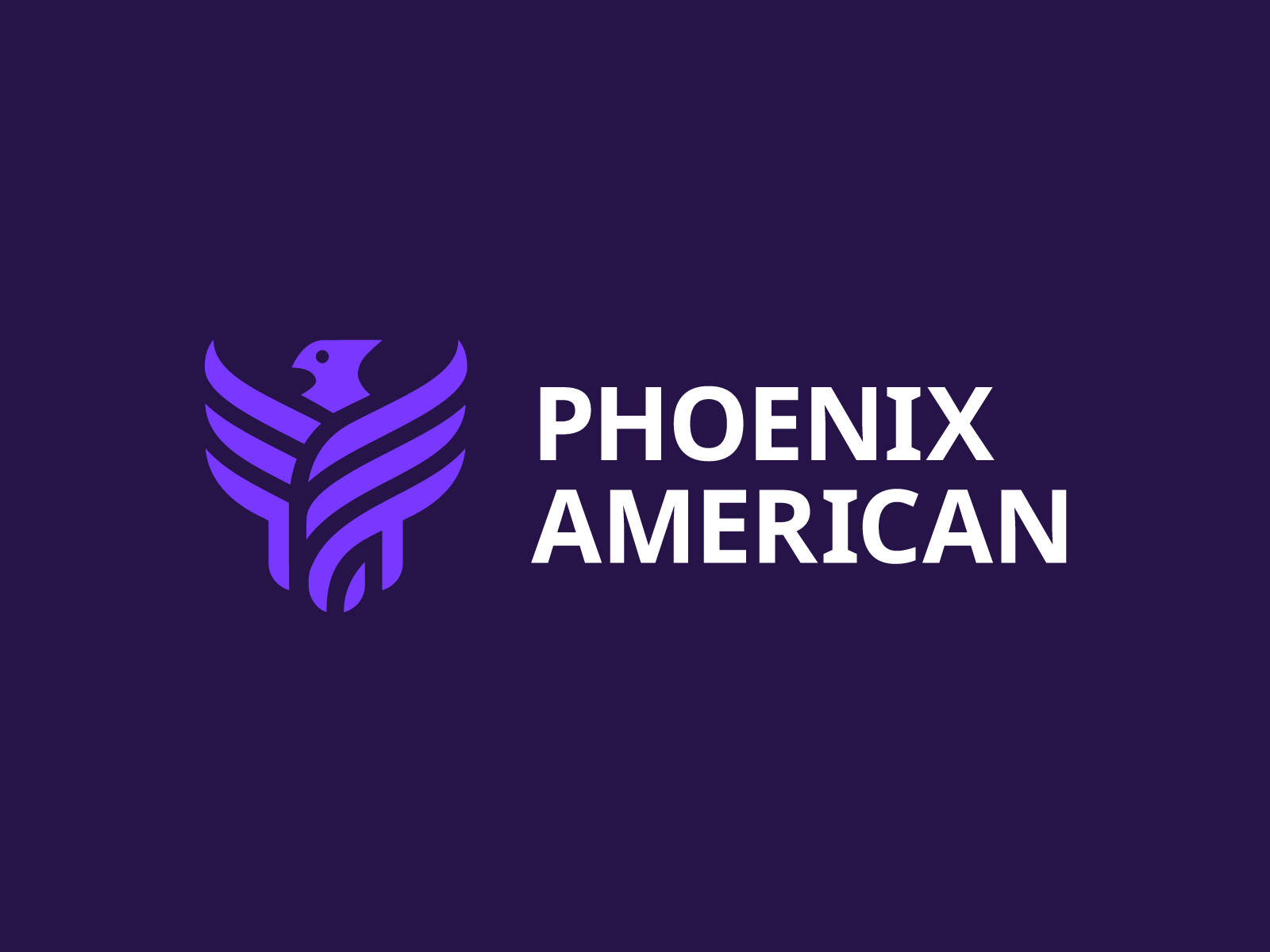 Phoenix American Financial Services and PAFS Ireland, Ltd Announce Robust 2019 Business Growth